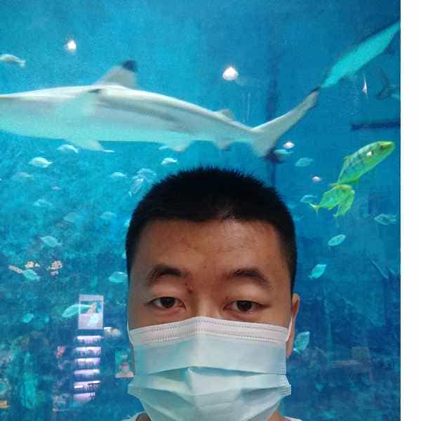 河北34岁单身帅哥真诚找对象-洛阳征婚相亲网