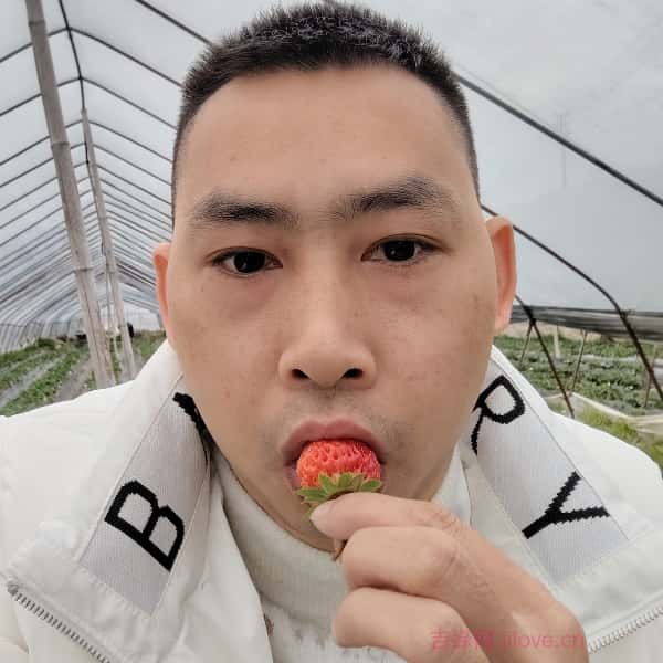 洛阳征婚相亲网
